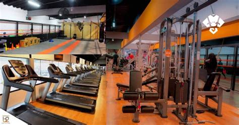 b2 live reserva|Gimnasio b2 Perú